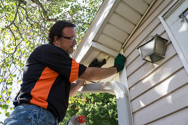 Best Hoarding Cleanup  in Grand Blanc, MI